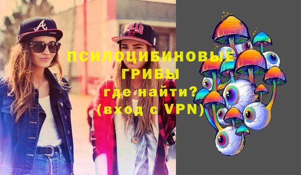 прущий лед Пестово