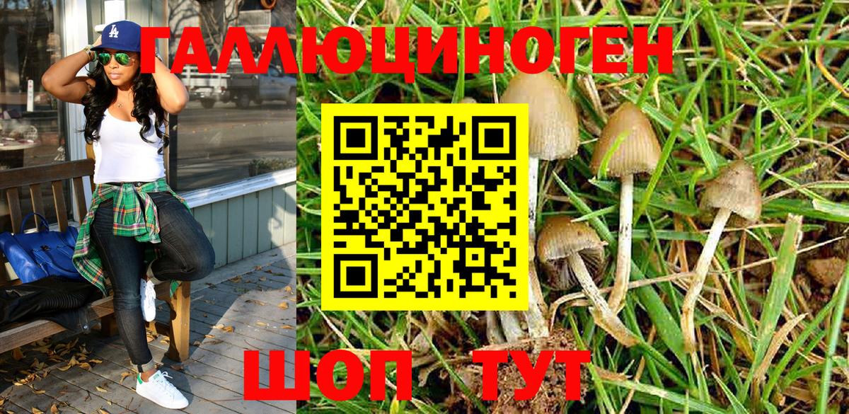 Галлюциногенные грибы MAGIC MUSHROOMS Азов