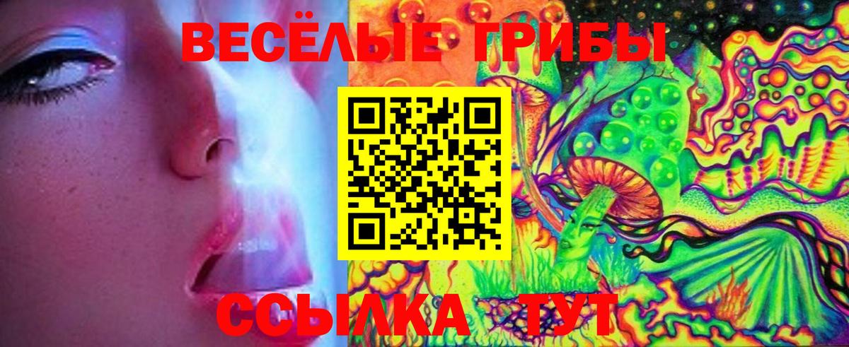 Галлюциногенные грибы мухоморы  Галлюциногенные грибы прущие грибы  Азов  Вход с VPN 